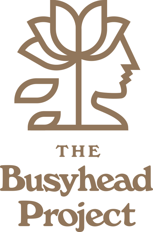 The Busyhead Project